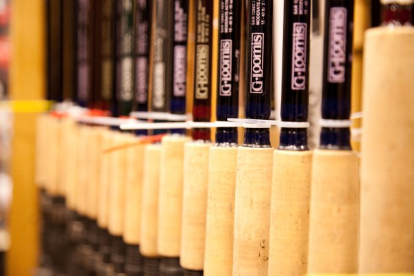 lots of gloomis fishing rods